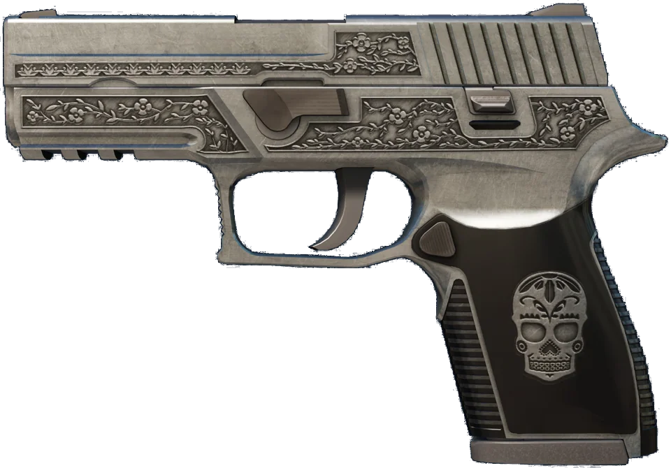 P250 | Cartel