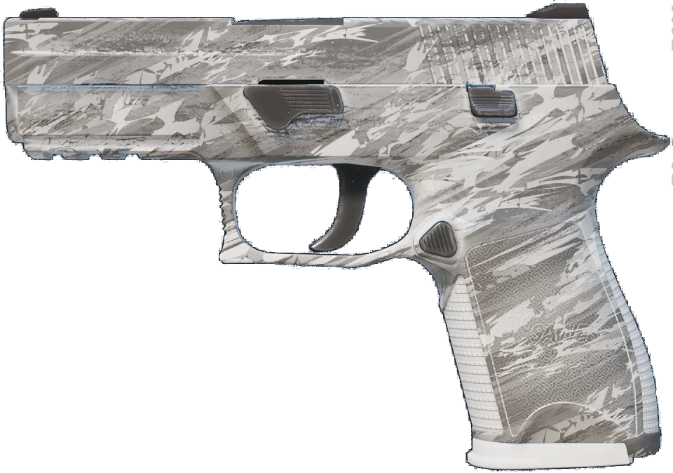 P250 | Sleet
