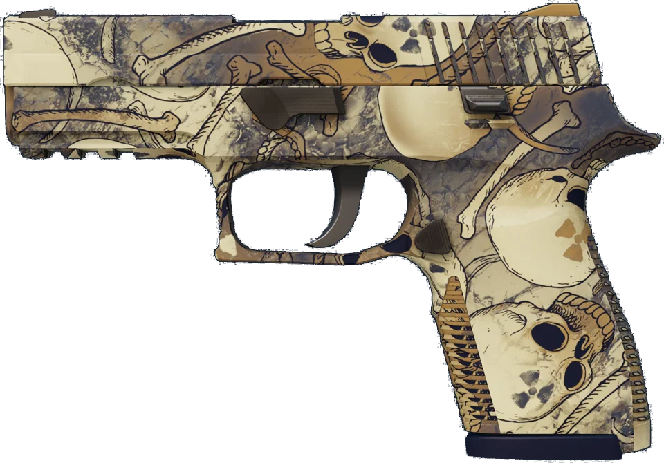 P250 | Contamination