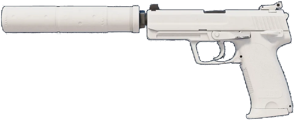 USP-S | Whiteout