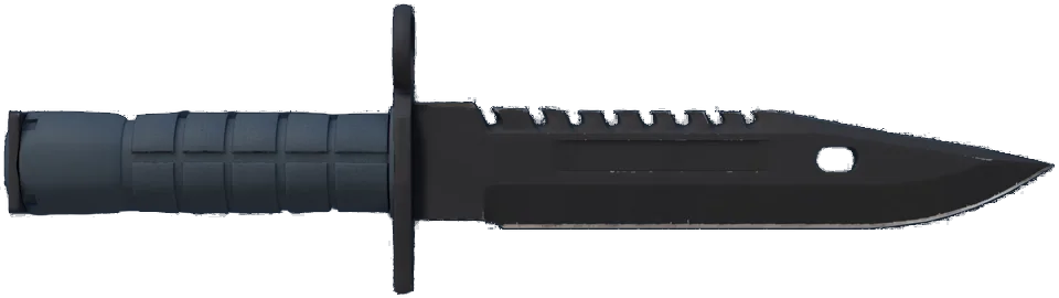 ★ M9 Bayonet | Night
