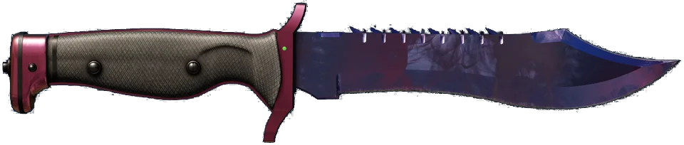 ★ Bowie Knife | Doppler