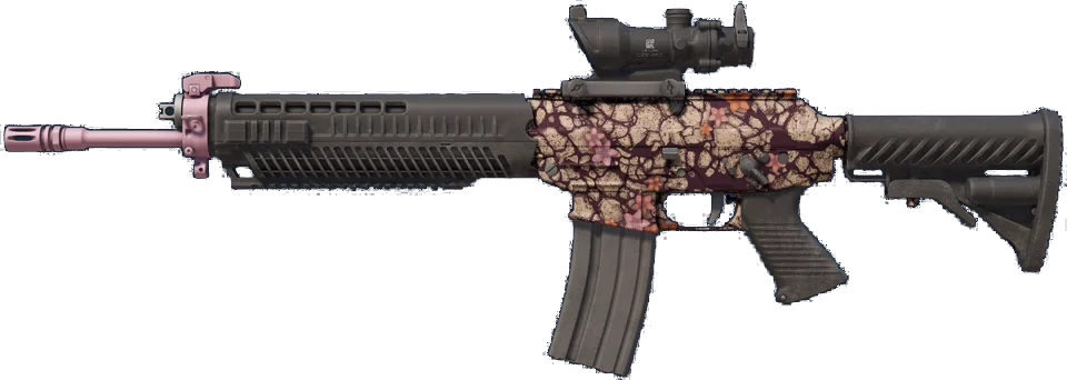 SG 553 | Desert Blossom