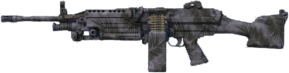 M249 | Midnight Palm