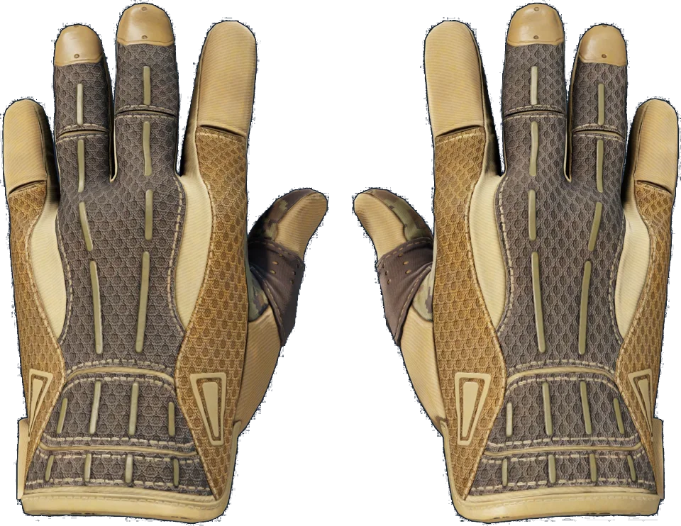 ★ Sport Gloves | Arid