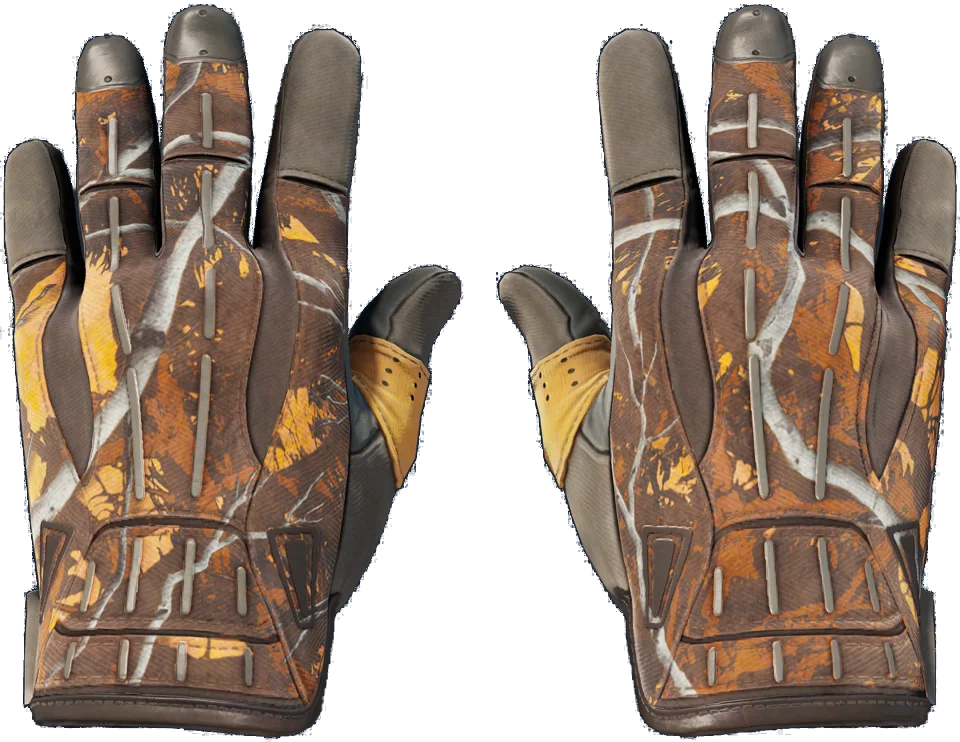 ★ Sport Gloves | Big Game