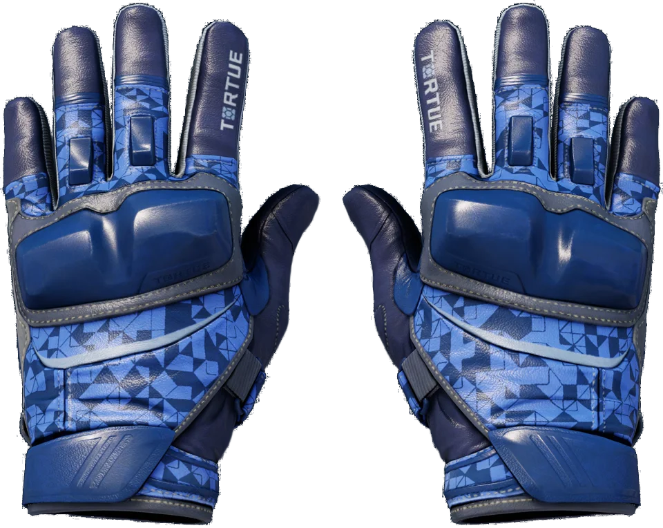★ Moto Gloves | Polygon