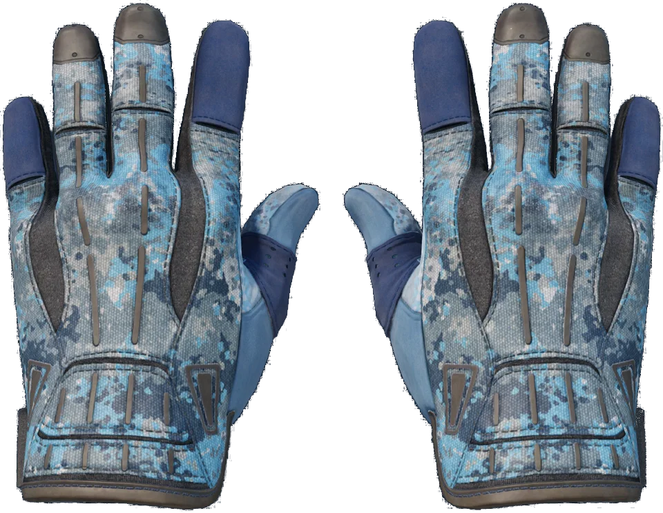 ★ Sport Gloves | Frosty