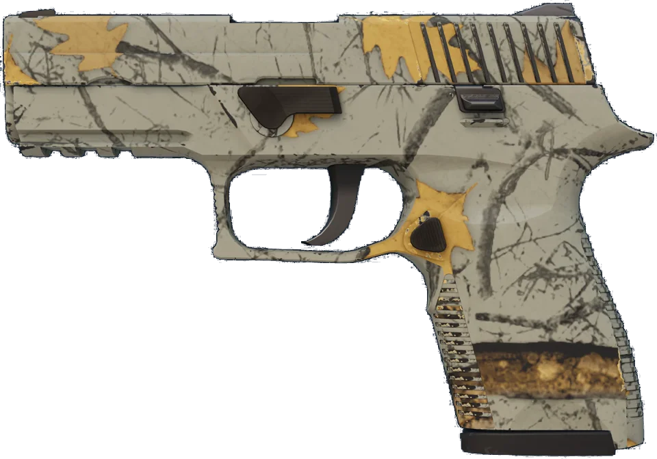 P250 | Modern Hunter