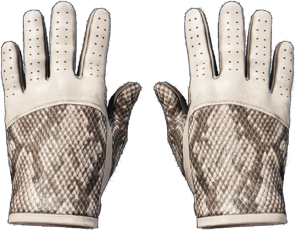 ★ Driver Gloves | King Snake
