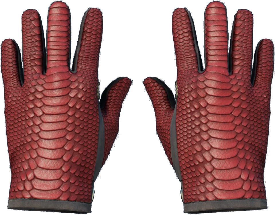 ★ Driver Gloves | Dragon Fists