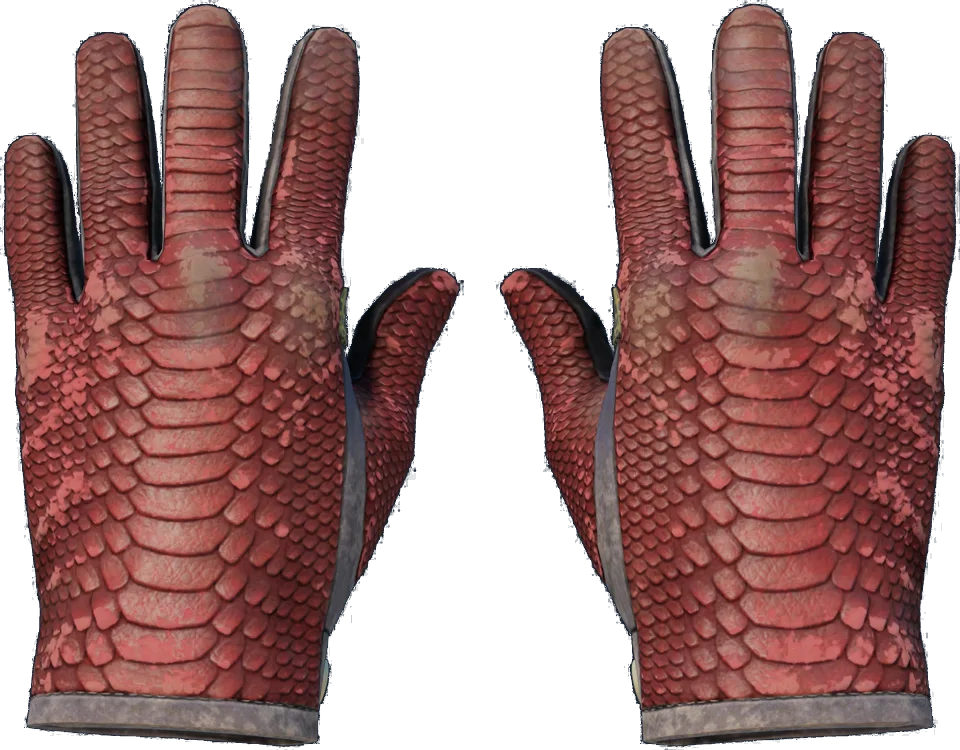 Driver Gloves Dragon Fists
